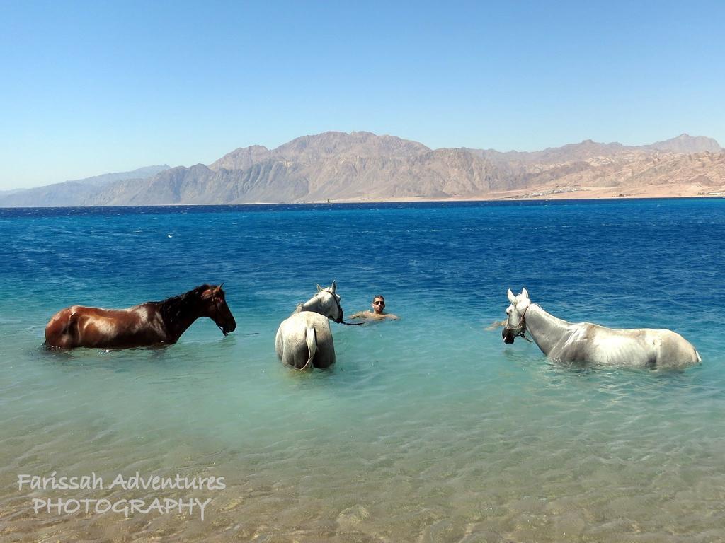 Blue Beach Club Dahab Extérieur photo