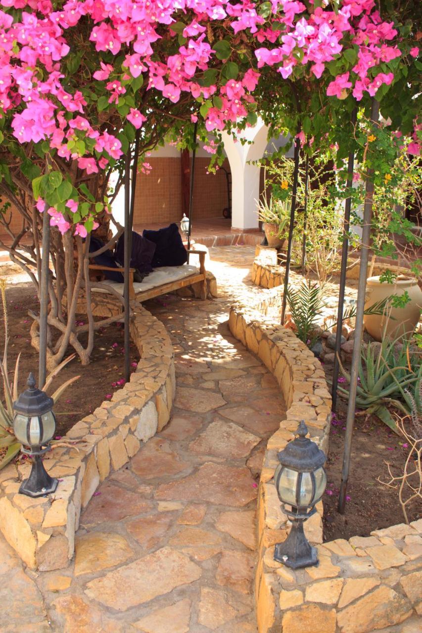Blue Beach Club Dahab Extérieur photo